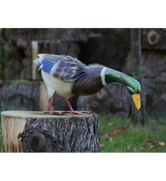 Decoration Jardin Canard Colvert 