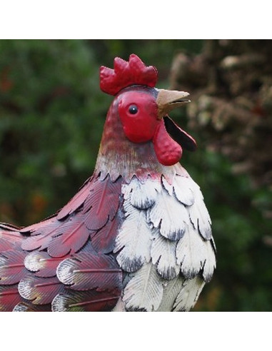 DECORATION JARDIN POULE