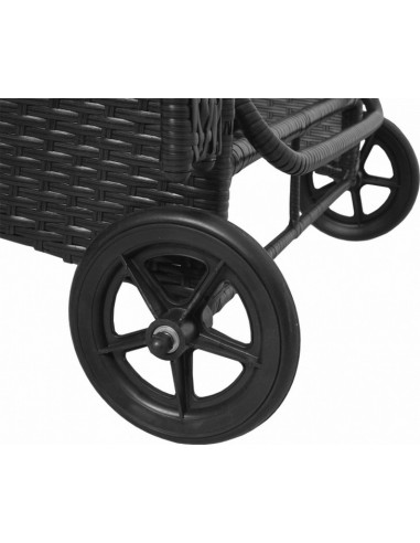 BAIN DE SOLEIL POLYROTIN PLAT  ROUES
