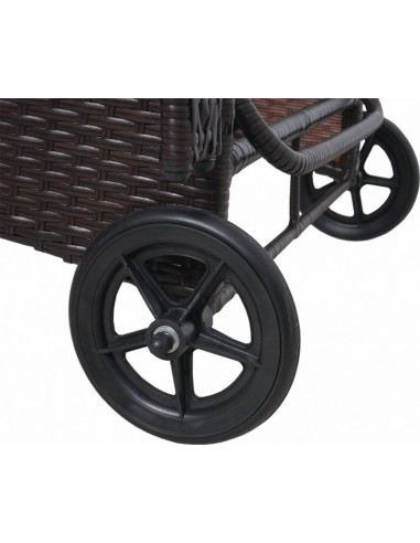 BAIN DE SOLEIL POLYROTIN PLAT  ROUES