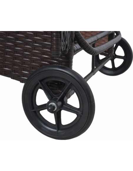 BAIN DE SOLEIL POLYROTIN PLAT  ROUES