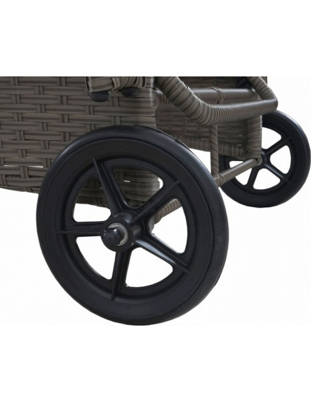 BAIN DE SOLEIL POLYROTIN PLAT  ROUES